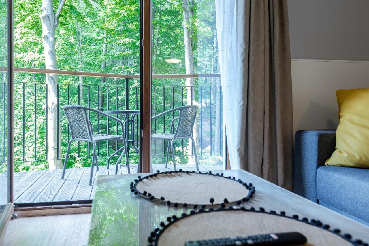 Apartmament Nowy Widok Na Las Szklarska Poreba Luaran gambar